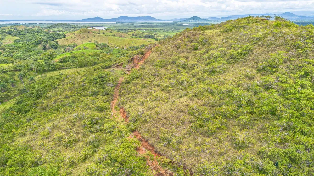 6-Hectare Hill Property for Sale in Boca Chica