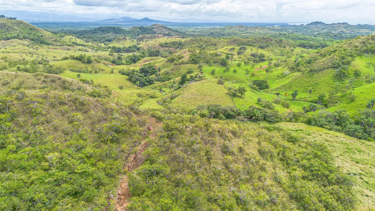 6-Hectare Hill Property for Sale in Boca Chica