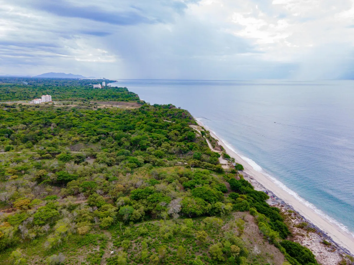 Oceanfront Investment Opportunity in Playa El Higo