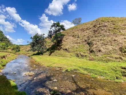 39 Hectares Farm with River in Capira