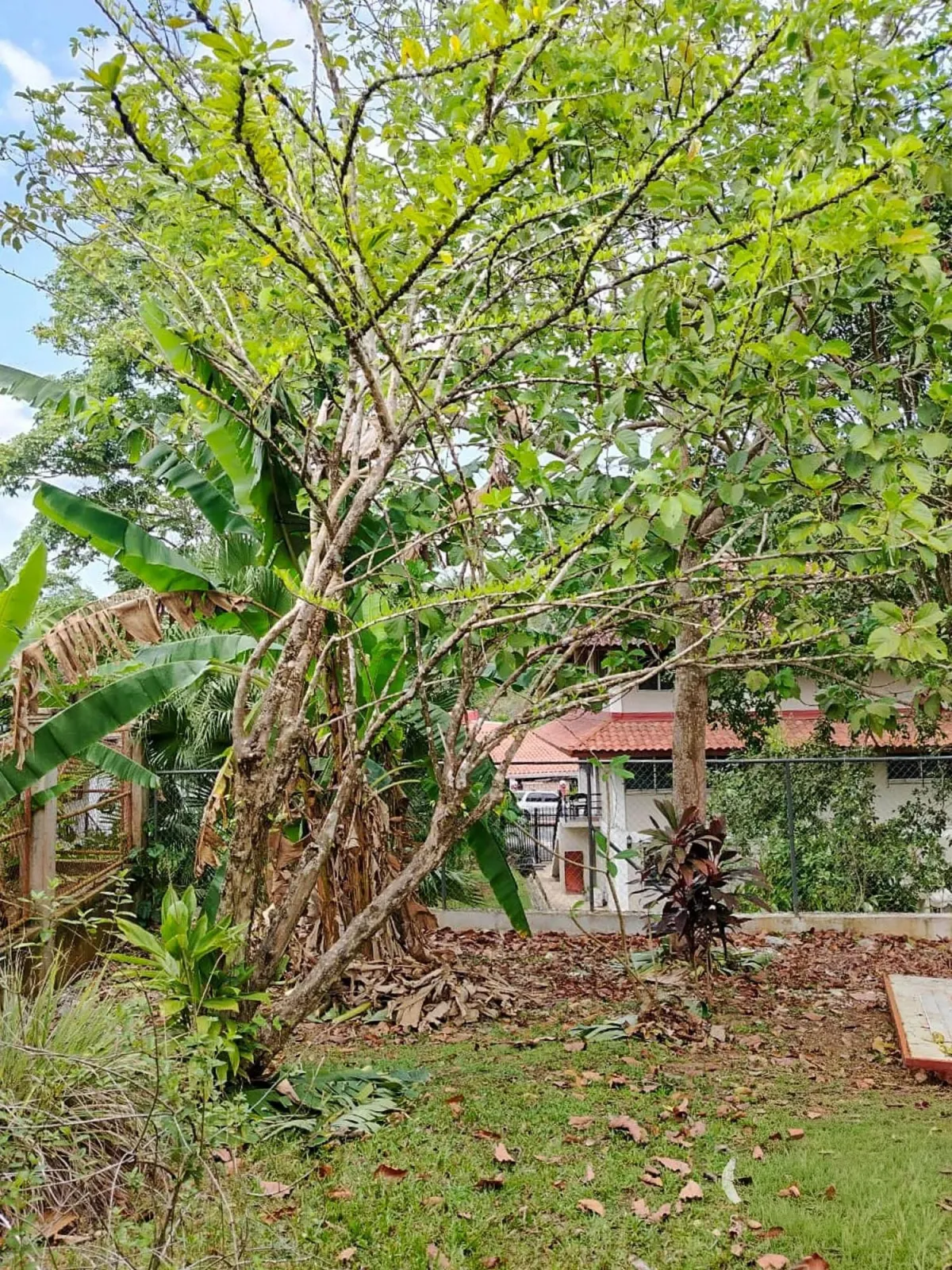 3 Bedroom Home for Sale in Ancon, Panama City
