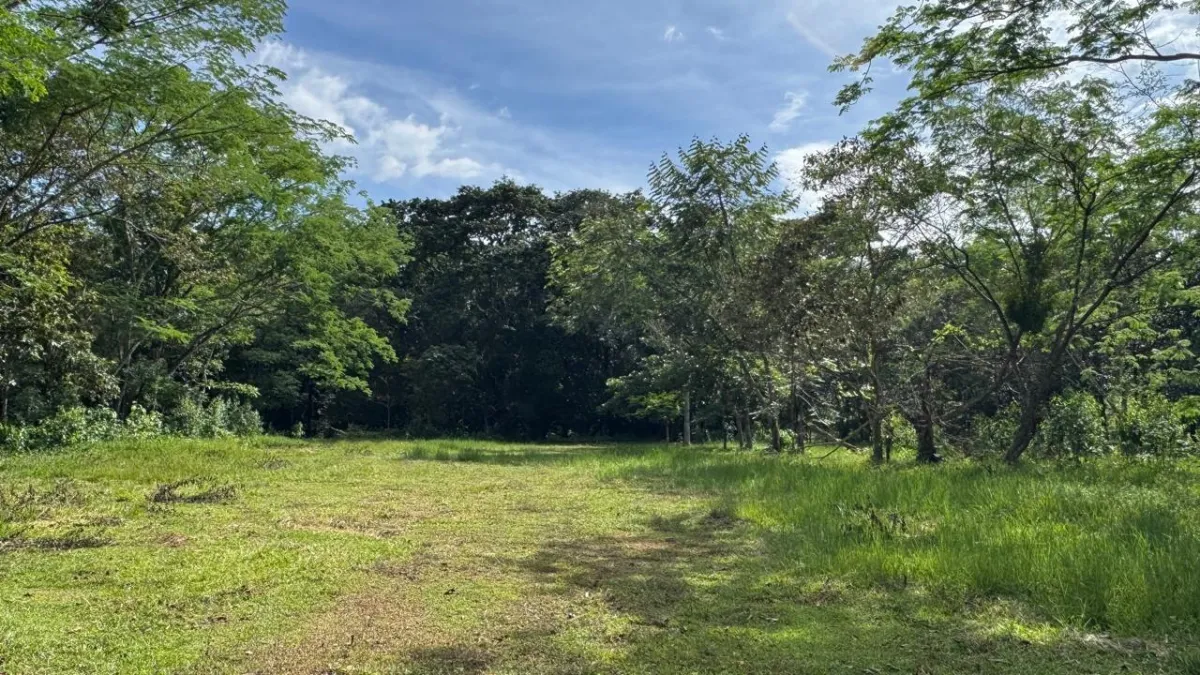 Property for Sale – Caldera, Boquete District