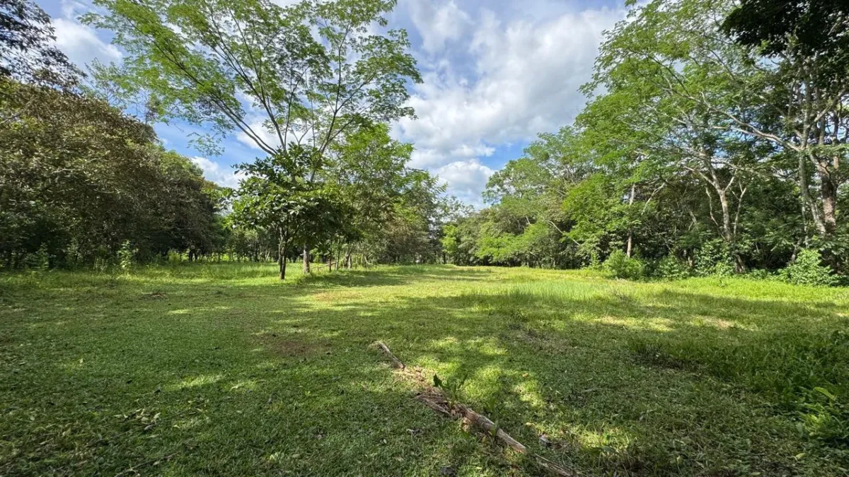 Property for Sale – Caldera, Boquete District