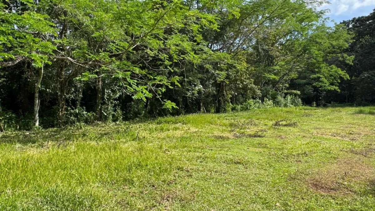 Property for Sale – Caldera, Boquete District