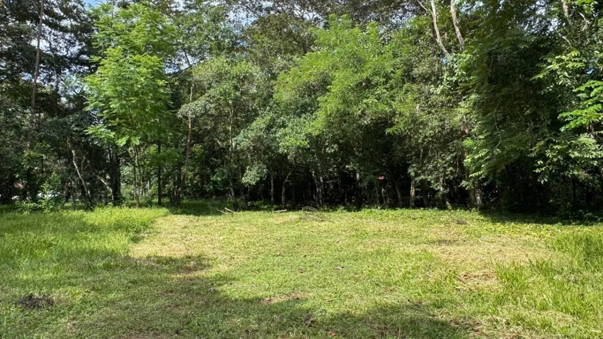 Property for Sale – Caldera, Boquete District