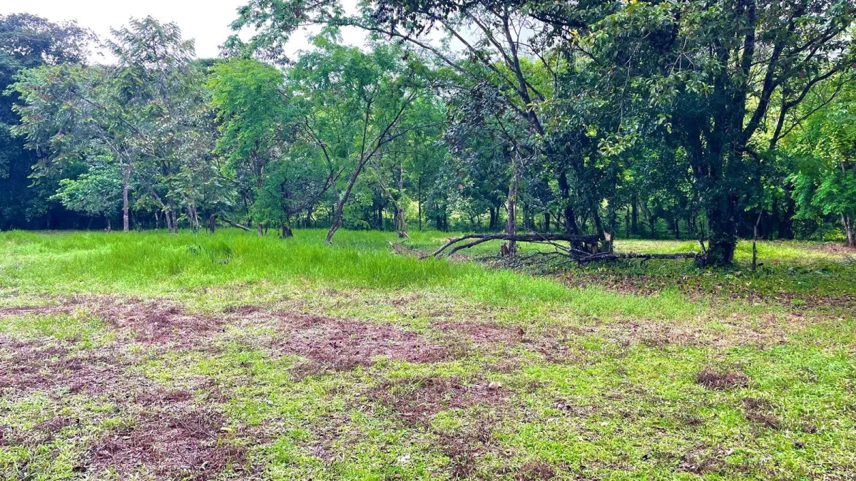 Property for Sale – Caldera, Boquete District