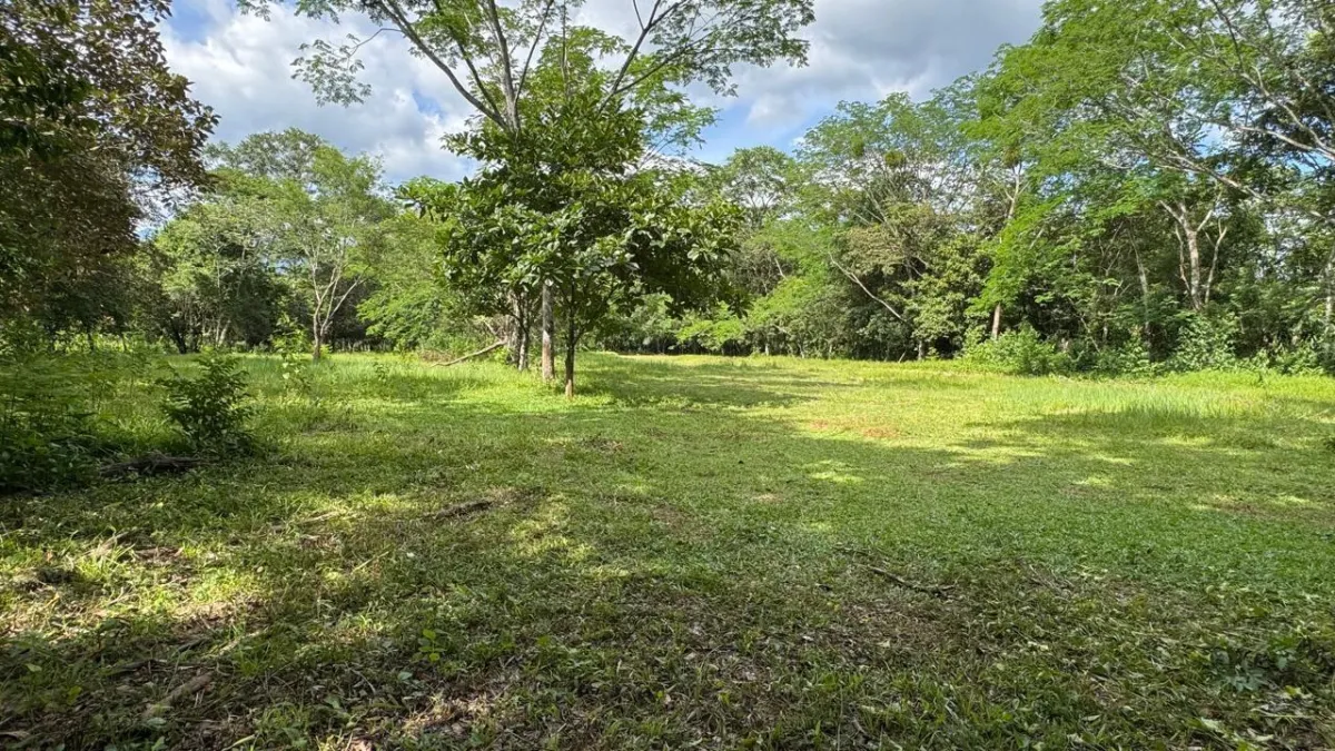 Property for Sale – Caldera, Boquete District