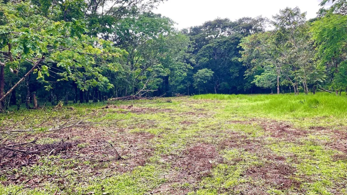 Property for Sale – Caldera, Boquete District