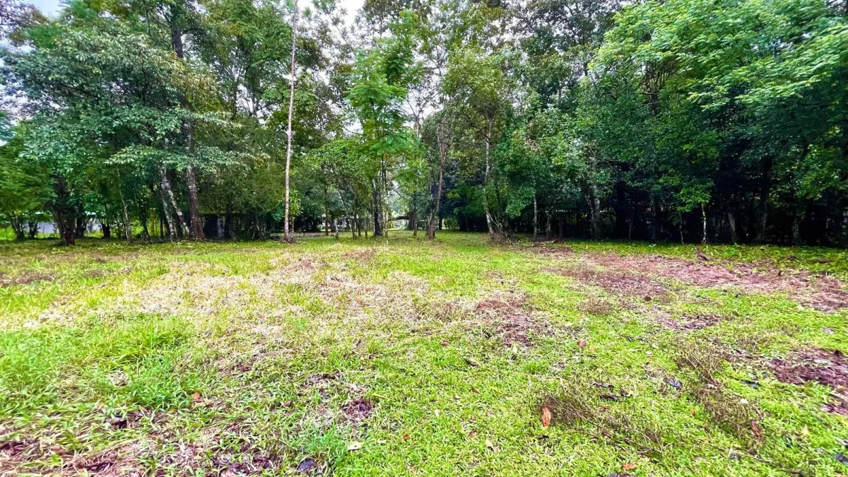 Property for Sale – Caldera, Boquete District