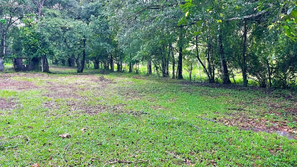 Property for Sale – Caldera, Boquete District