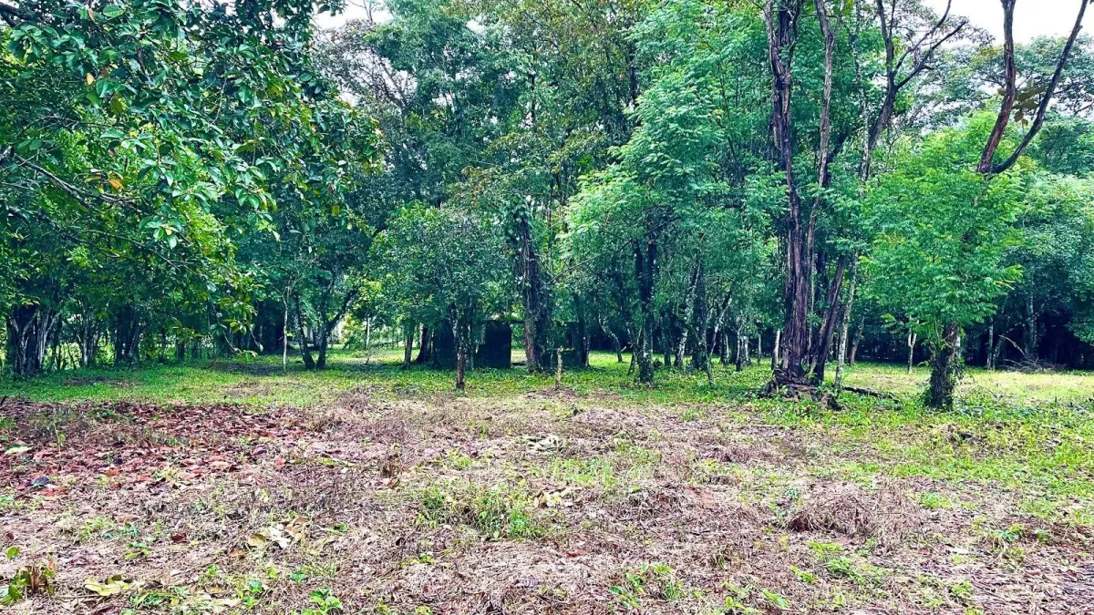 Property for Sale – Caldera, Boquete District