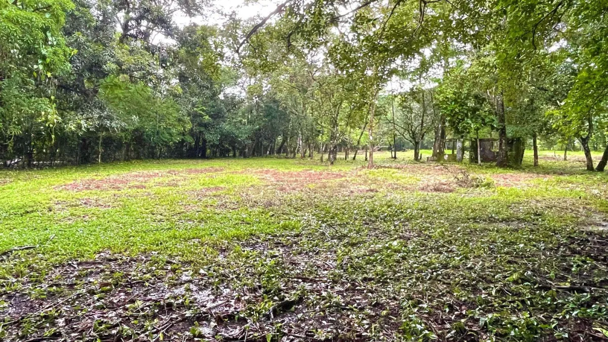 Property for Sale – Caldera, Boquete District