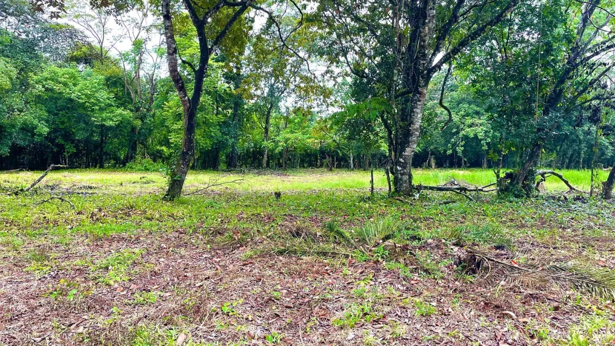 Property for Sale – Caldera, Boquete District