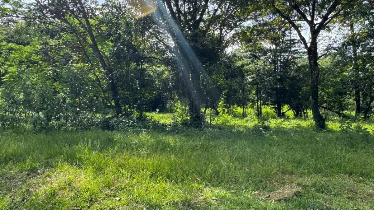 Property for Sale – Caldera, Boquete District