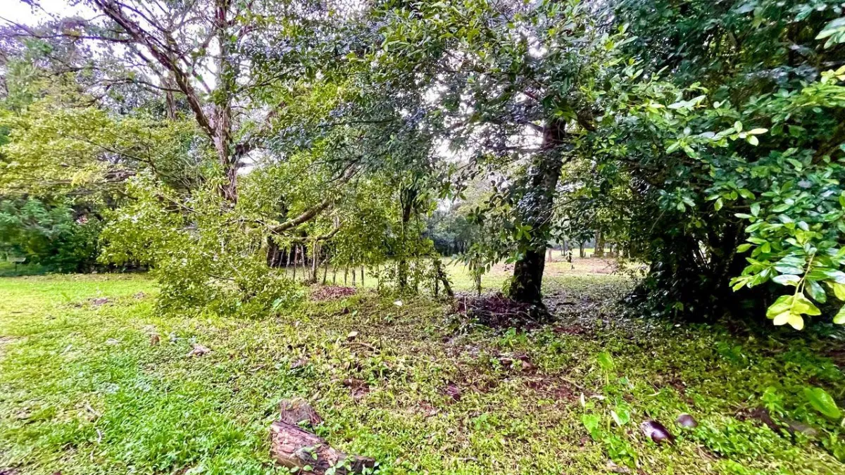 Property for Sale – Caldera, Boquete District