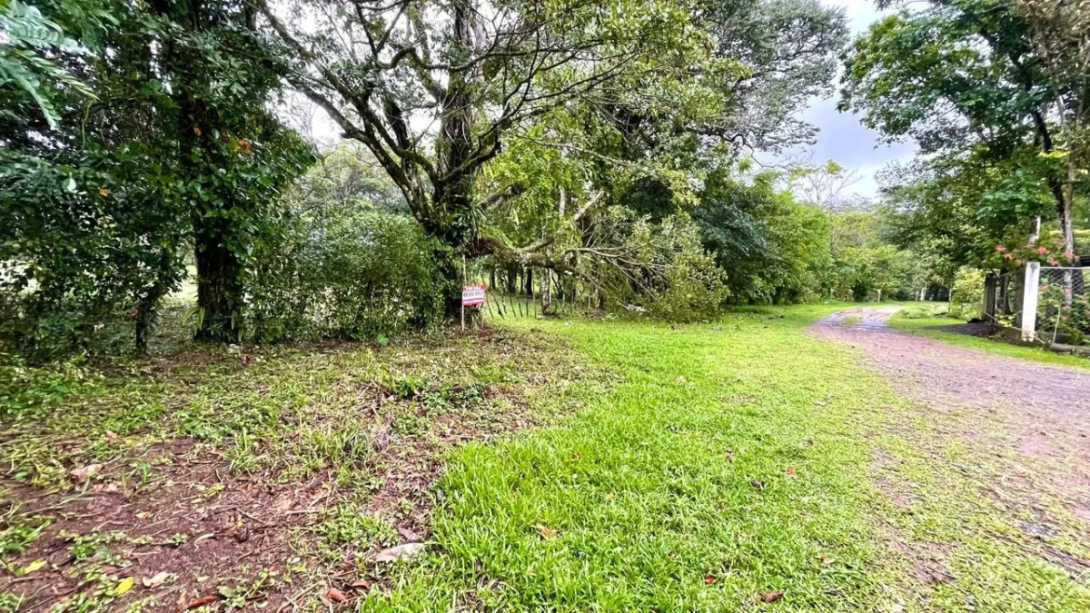 Property for Sale – Caldera, Boquete District