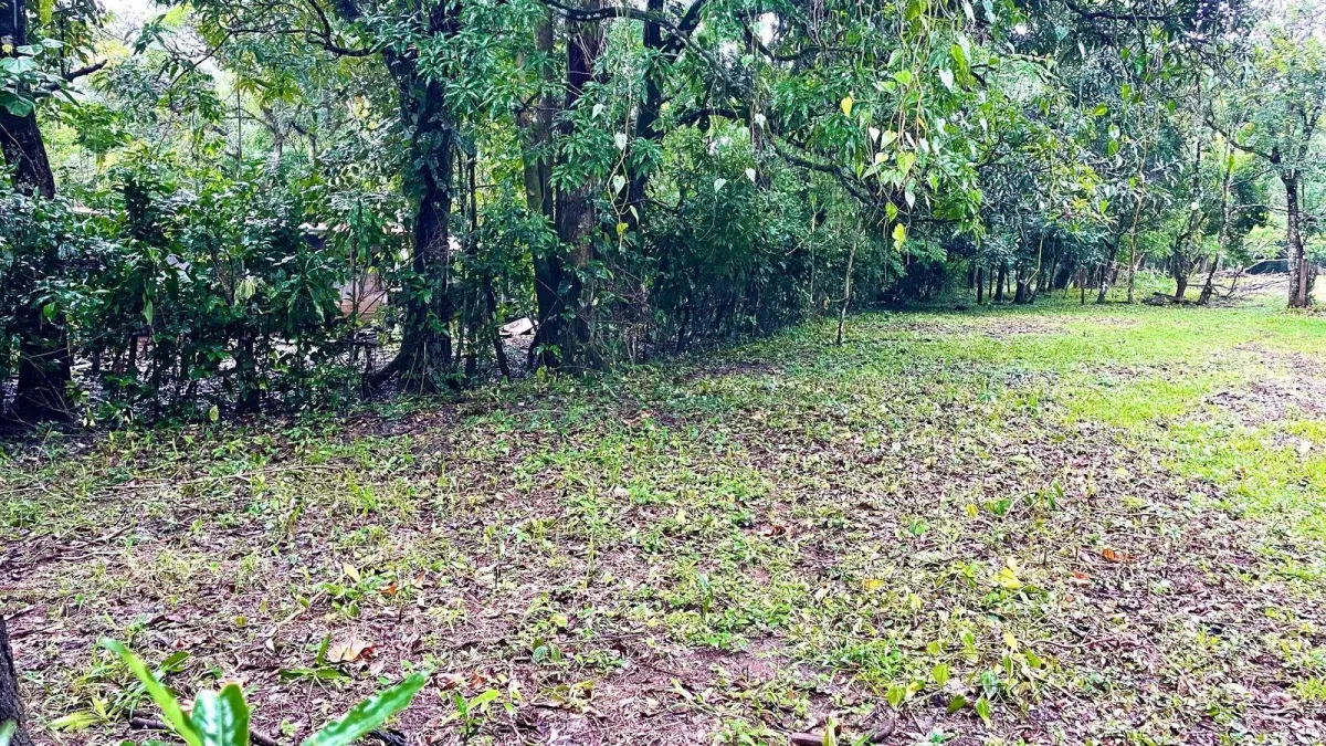 Property for Sale – Caldera, Boquete District