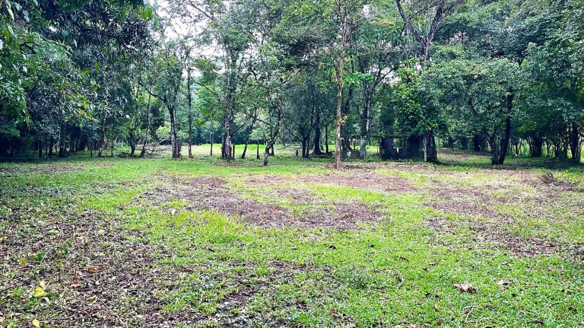 Property for Sale – Caldera, Boquete District