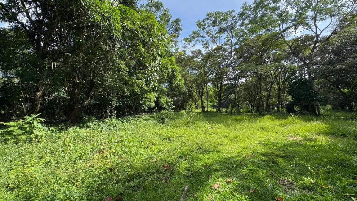 Property for Sale – Caldera, Boquete District