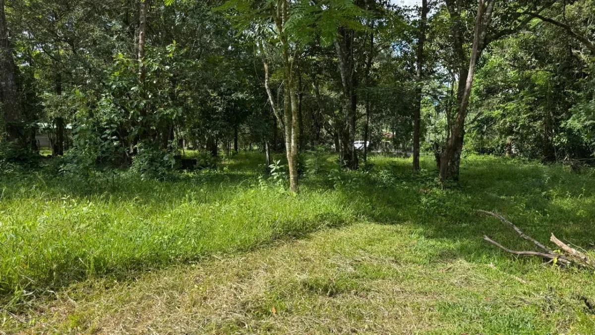 Property for Sale – Caldera, Boquete District