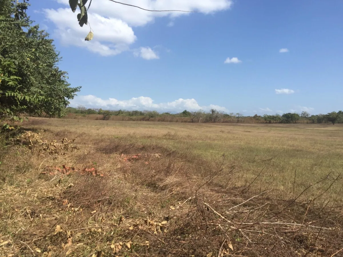 4.4-Hectare Land Opportunity Near Buenaventura