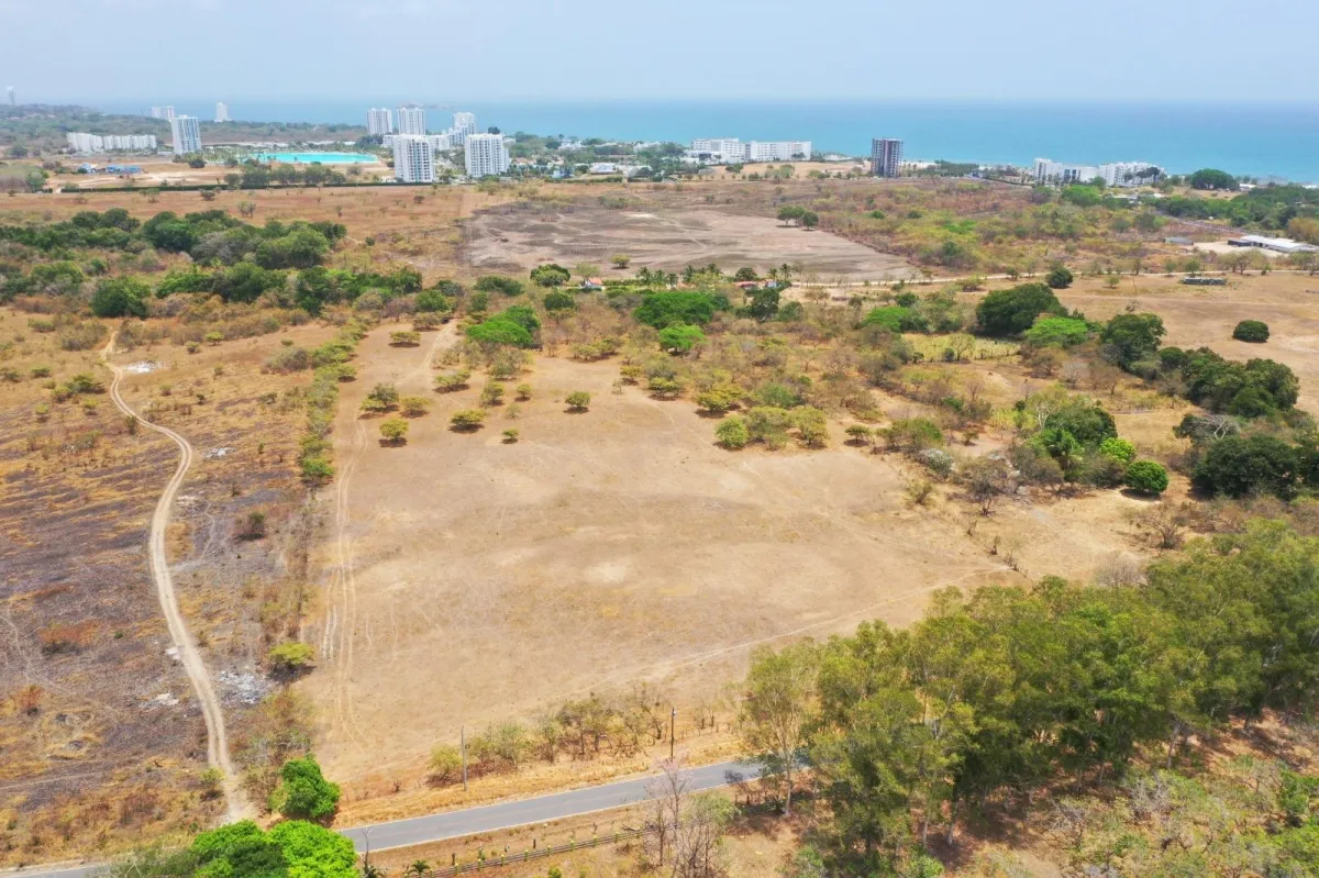 4.4-Hectare Land Opportunity Near Buenaventura