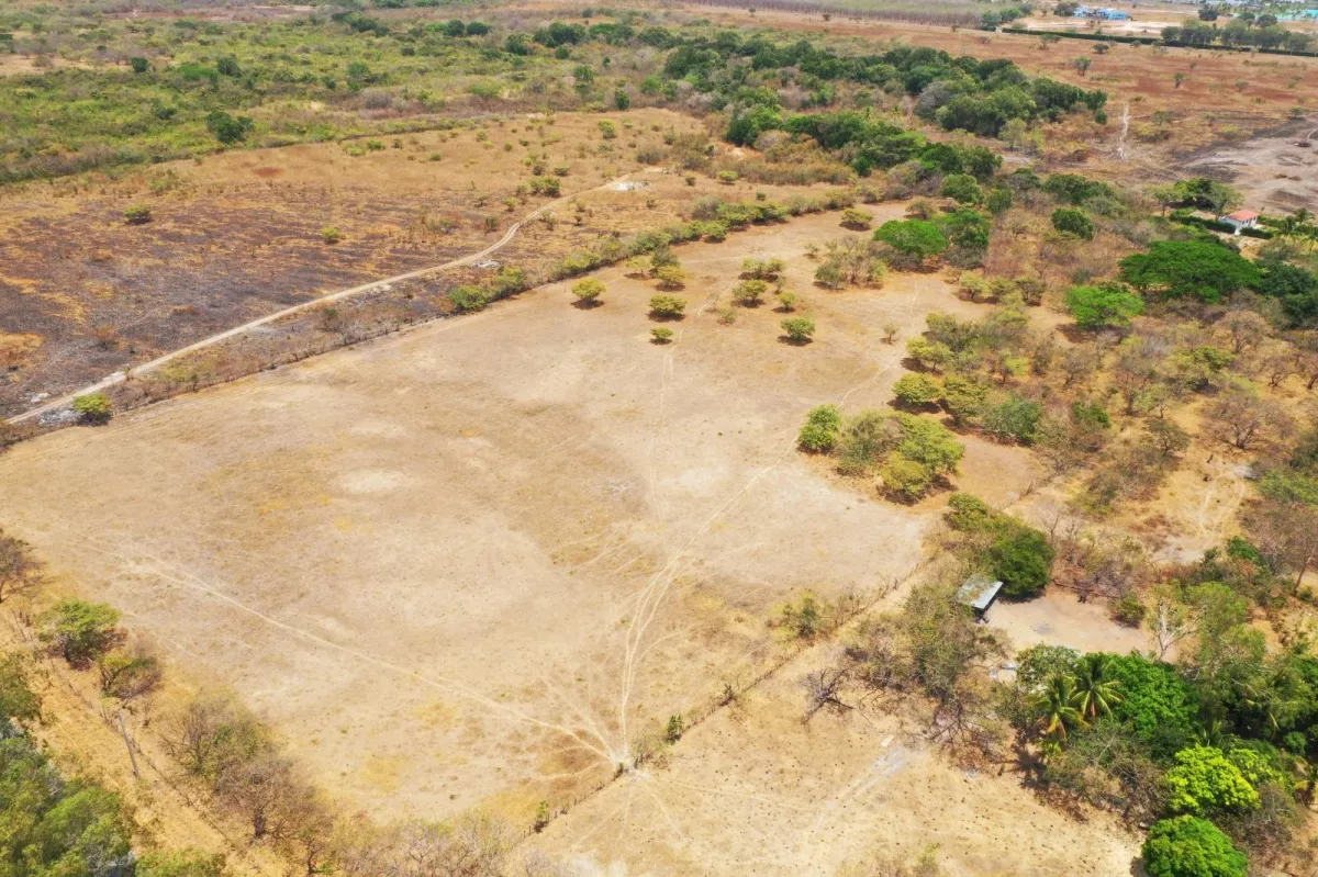 4.4-Hectare Land Opportunity Near Buenaventura