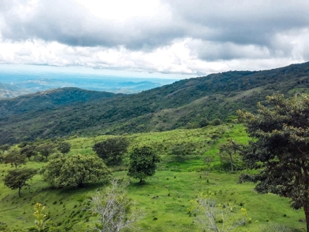 12 Hectares Land for Sale in Caldera