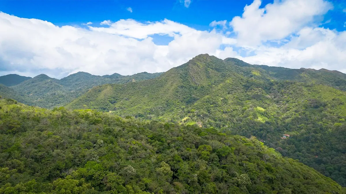 Terreno de 18,4 hectáreas cerca de El Cope, Cocle