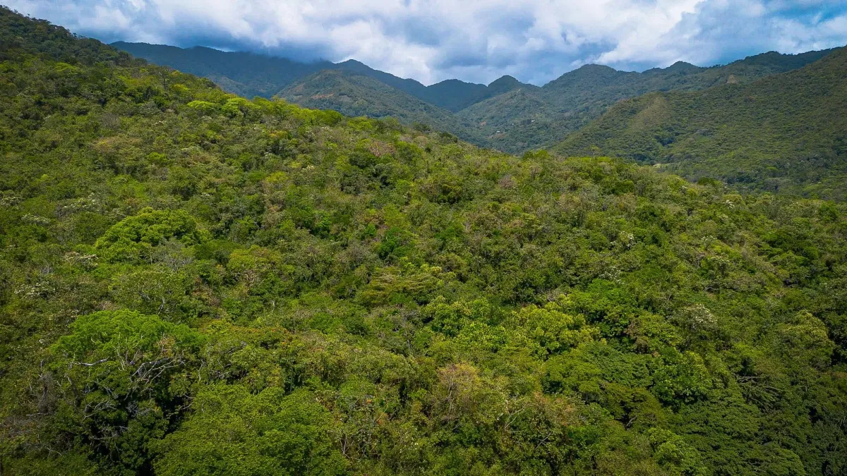 Terreno de 18,4 hectáreas cerca de El Cope, Cocle