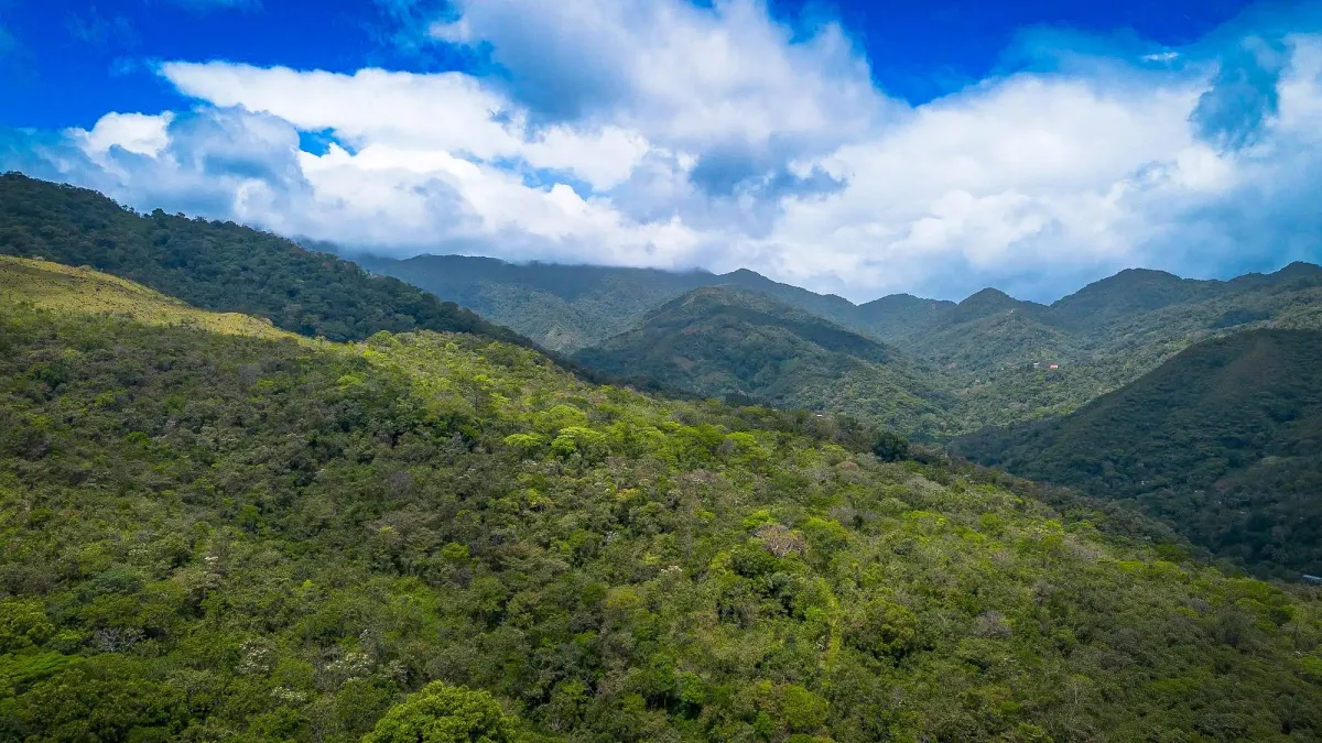 Terreno de 18,4 hectáreas cerca de El Cope, Cocle