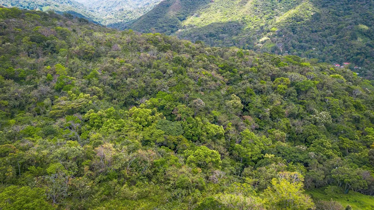 Terreno de 18,4 hectáreas cerca de El Cope, Cocle