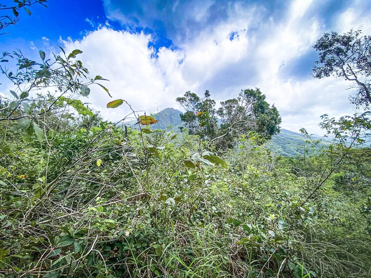 Terreno de 18,4 hectáreas cerca de El Cope, Cocle