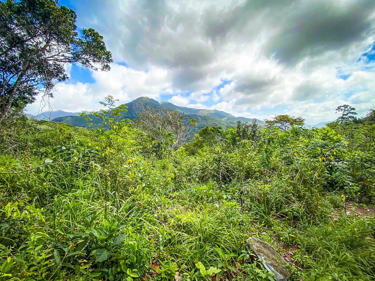Terreno de 18,4 hectáreas cerca de El Cope, Cocle