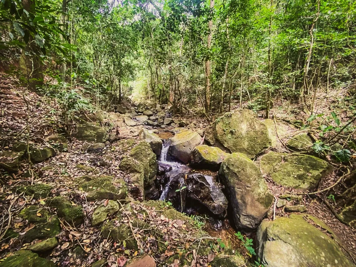Terreno de 18,4 hectáreas cerca de El Cope, Cocle