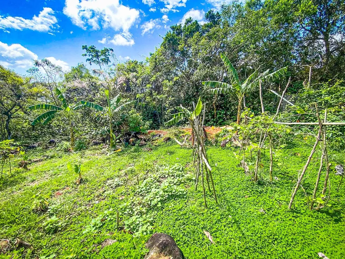 Terreno de 18,4 hectáreas cerca de El Cope, Cocle