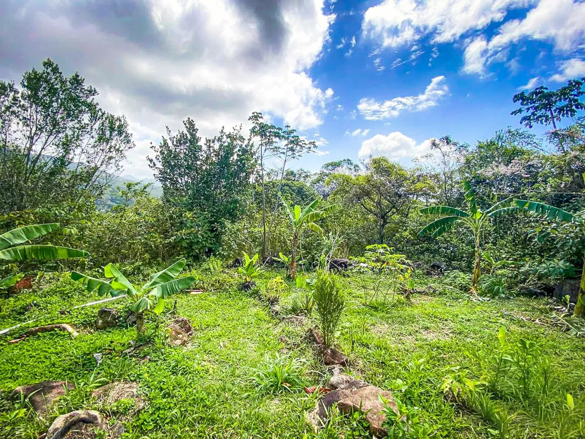 Terreno de 18,4 hectáreas cerca de El Cope, Cocle