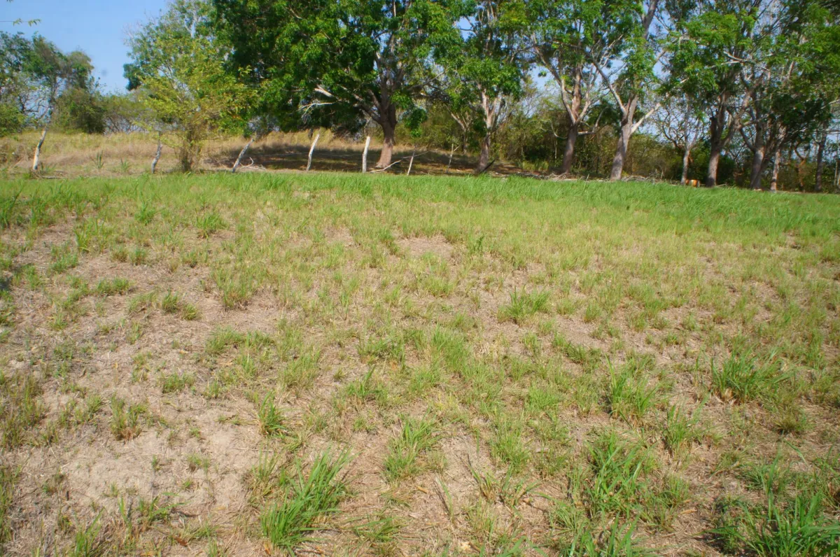 SAN CARLOS LAND FOR SALE
