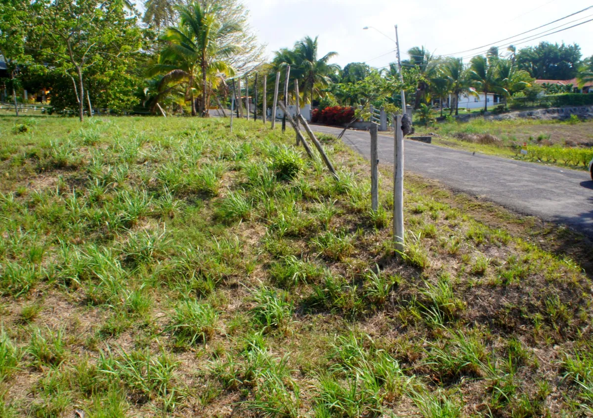 SAN CARLOS LAND FOR SALE