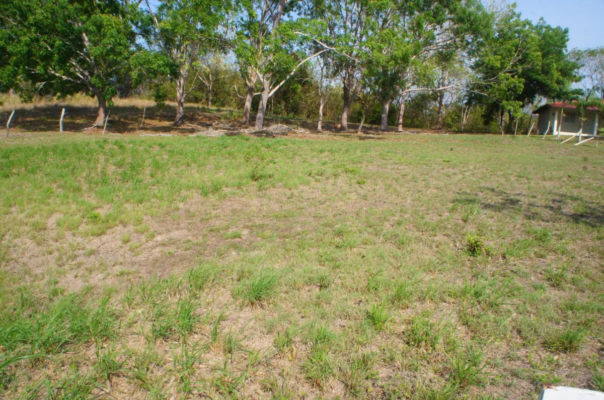 SAN CARLOS LAND FOR SALE