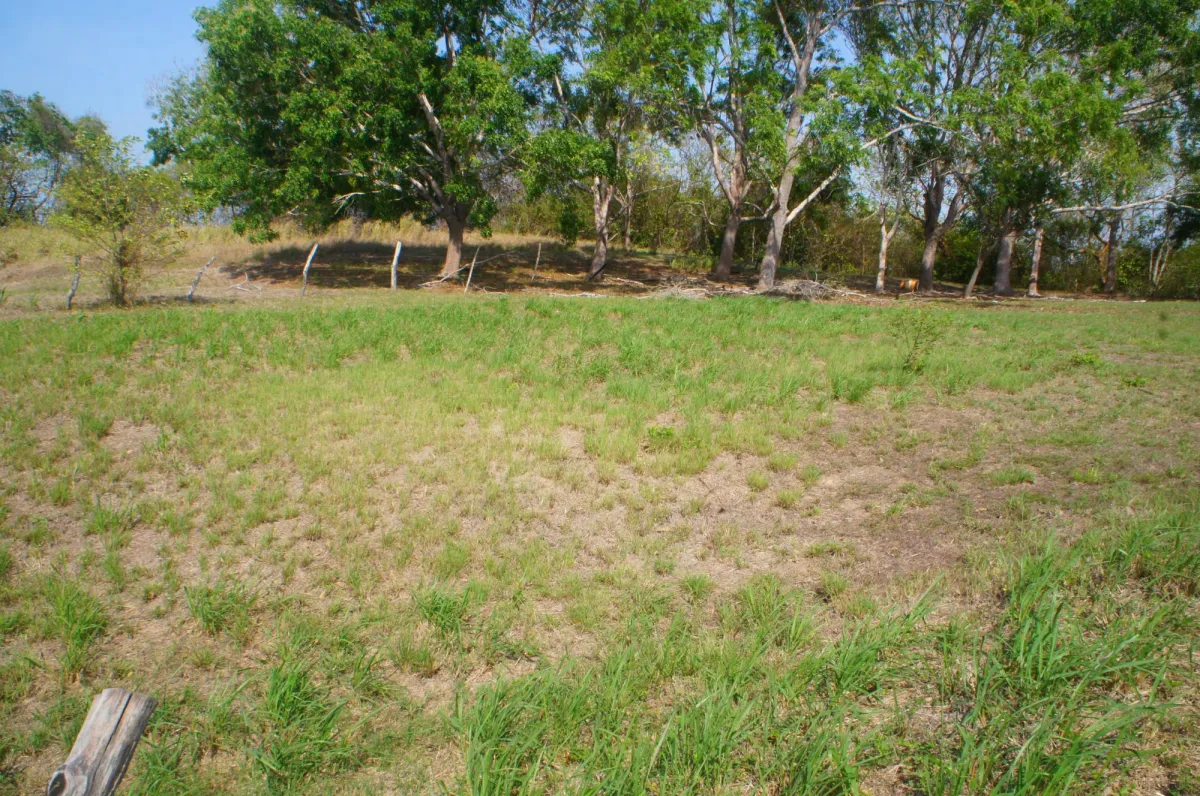 SAN CARLOS LAND FOR SALE