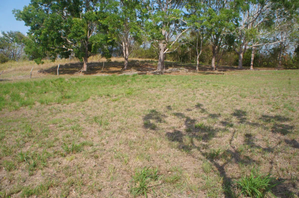SAN CARLOS LAND FOR SALE