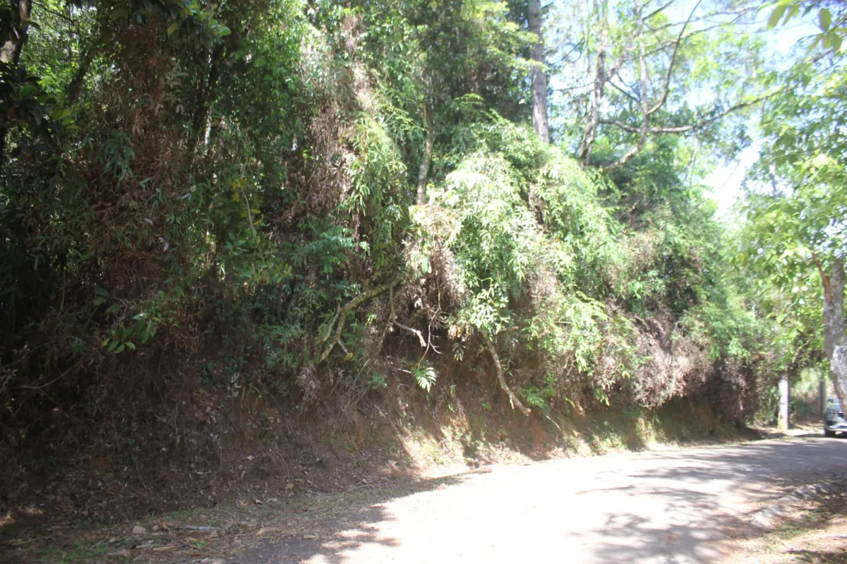 CERRO AZUL TERRENO EN VENTA