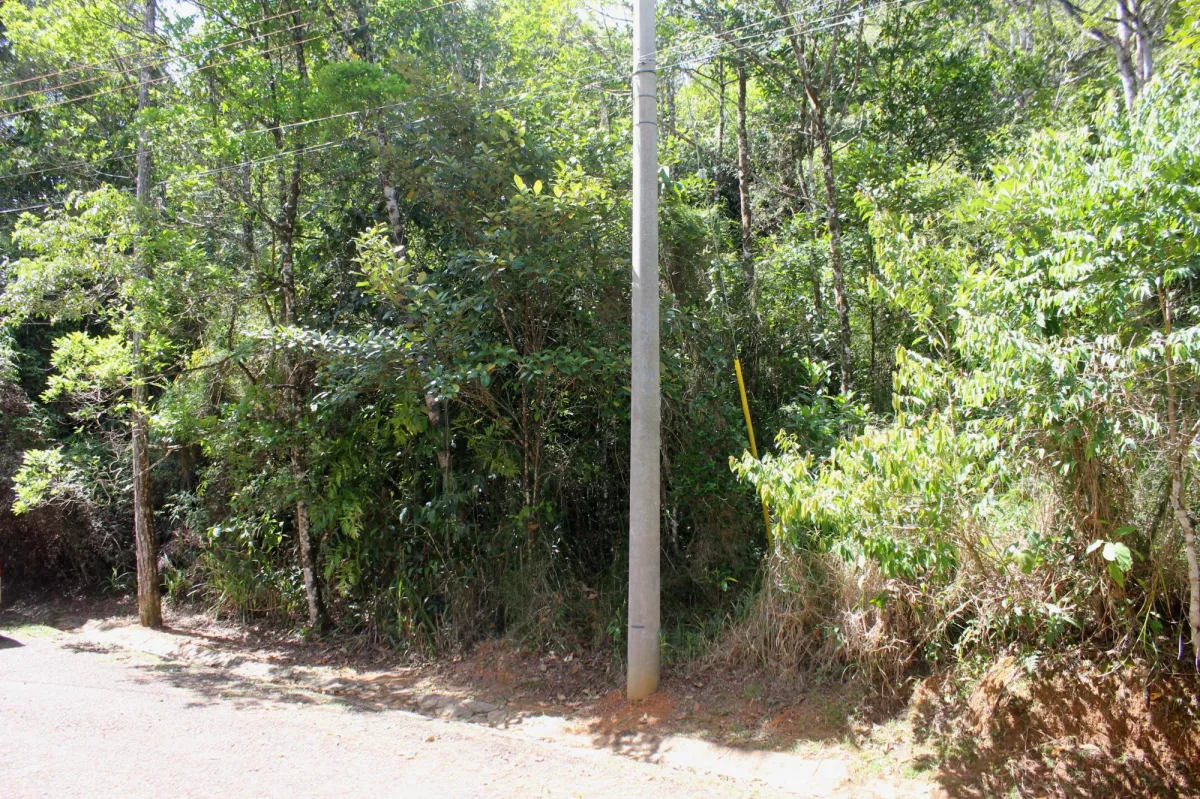 CERRO AZUL TERRENO EN VENTA