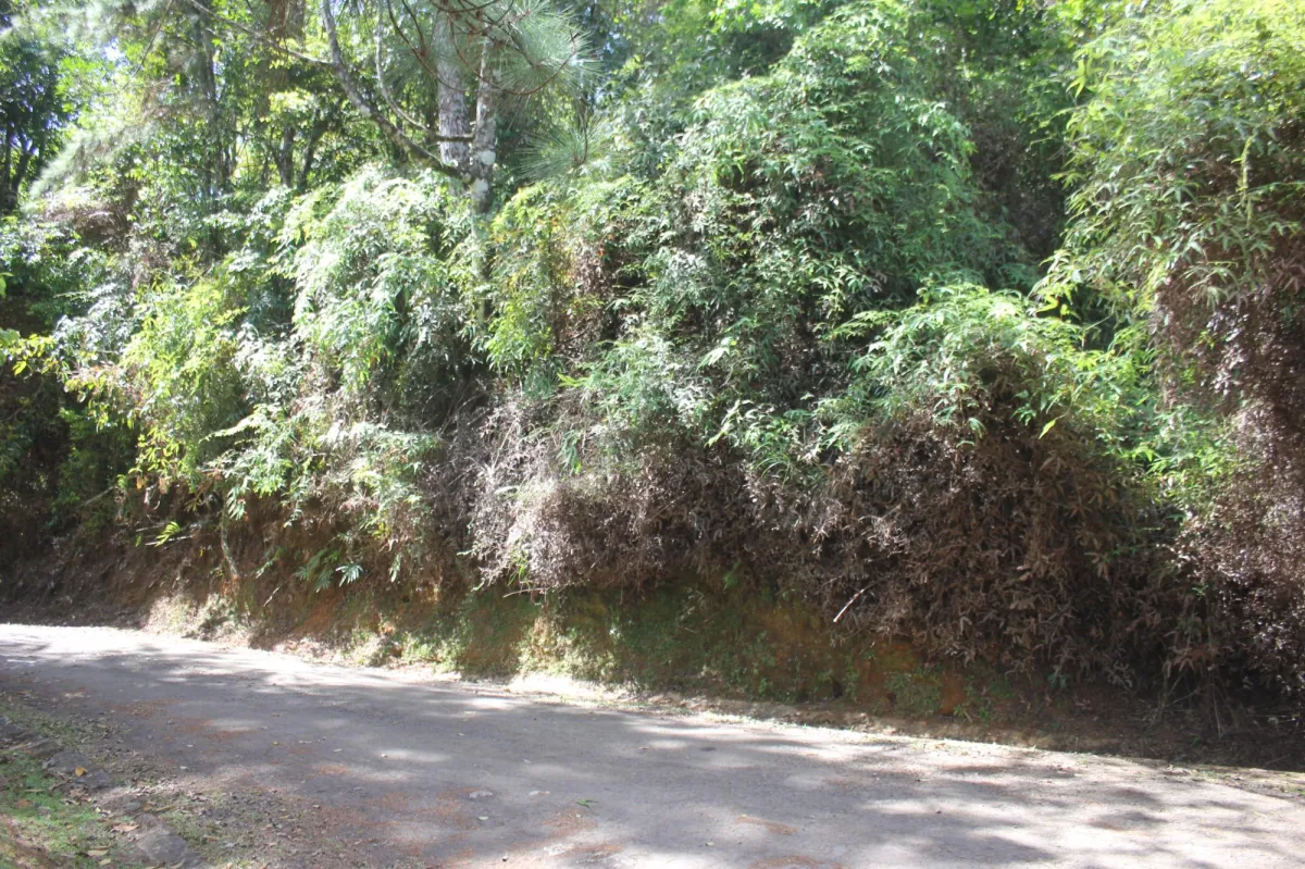 CERRO AZUL TERRENO EN VENTA