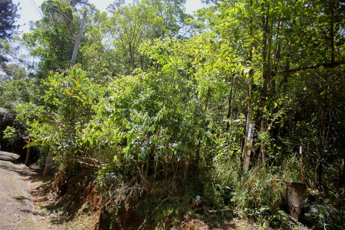 CERRO AZUL TERRENO EN VENTA