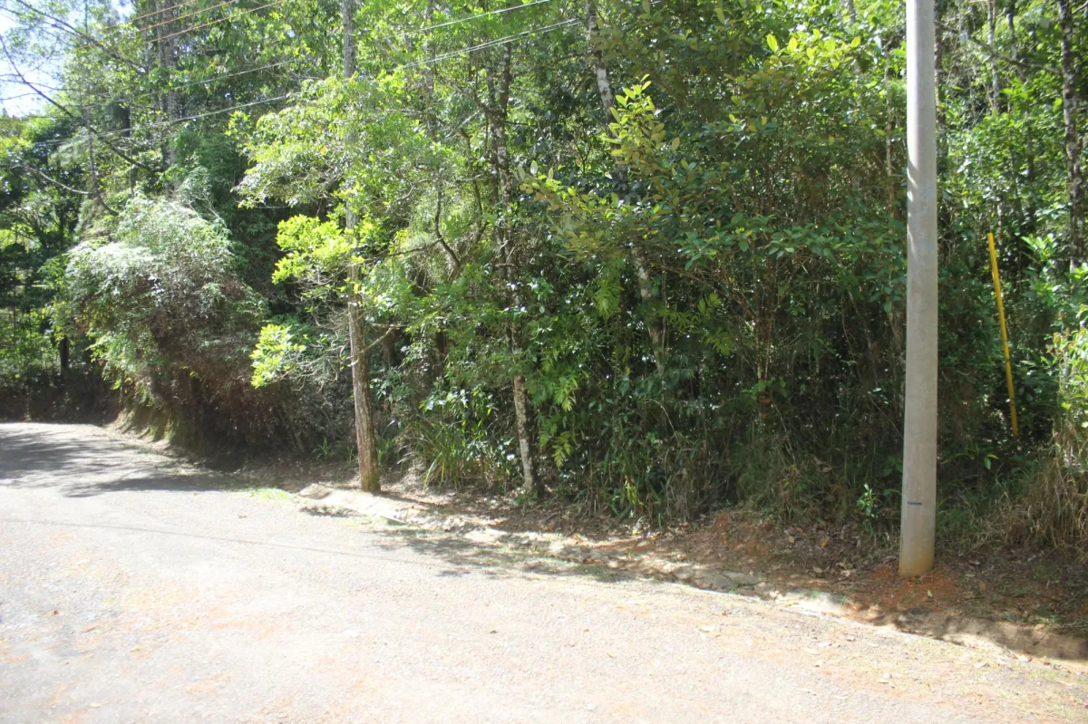CERRO AZUL TERRENO EN VENTA