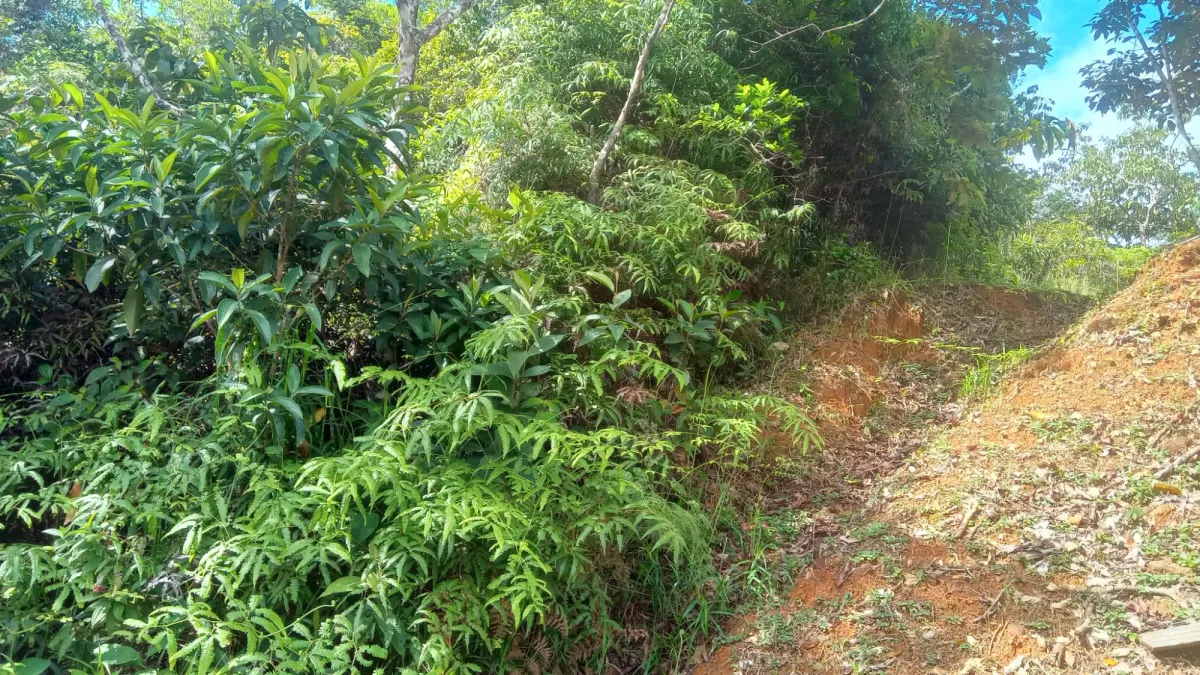 CERRO AZUL TERRENO EN VENTA