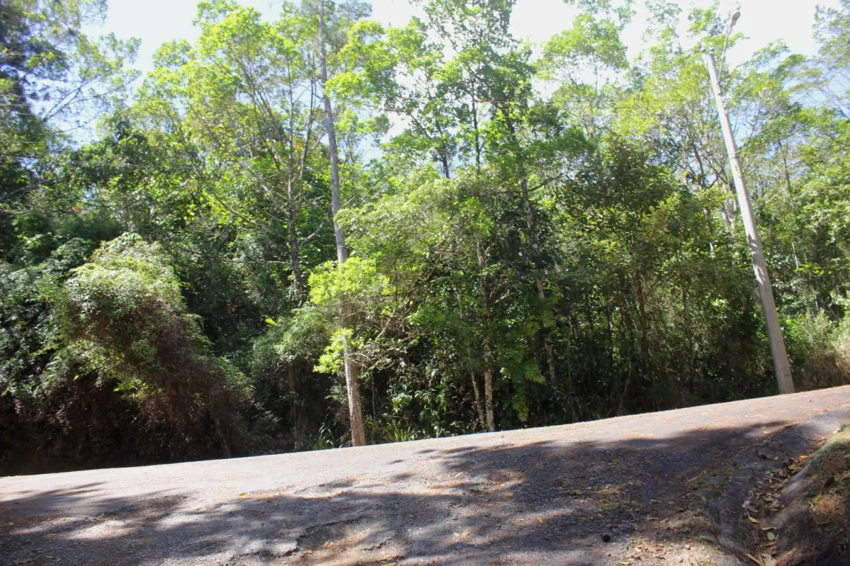 CERRO AZUL TERRENO EN VENTA
