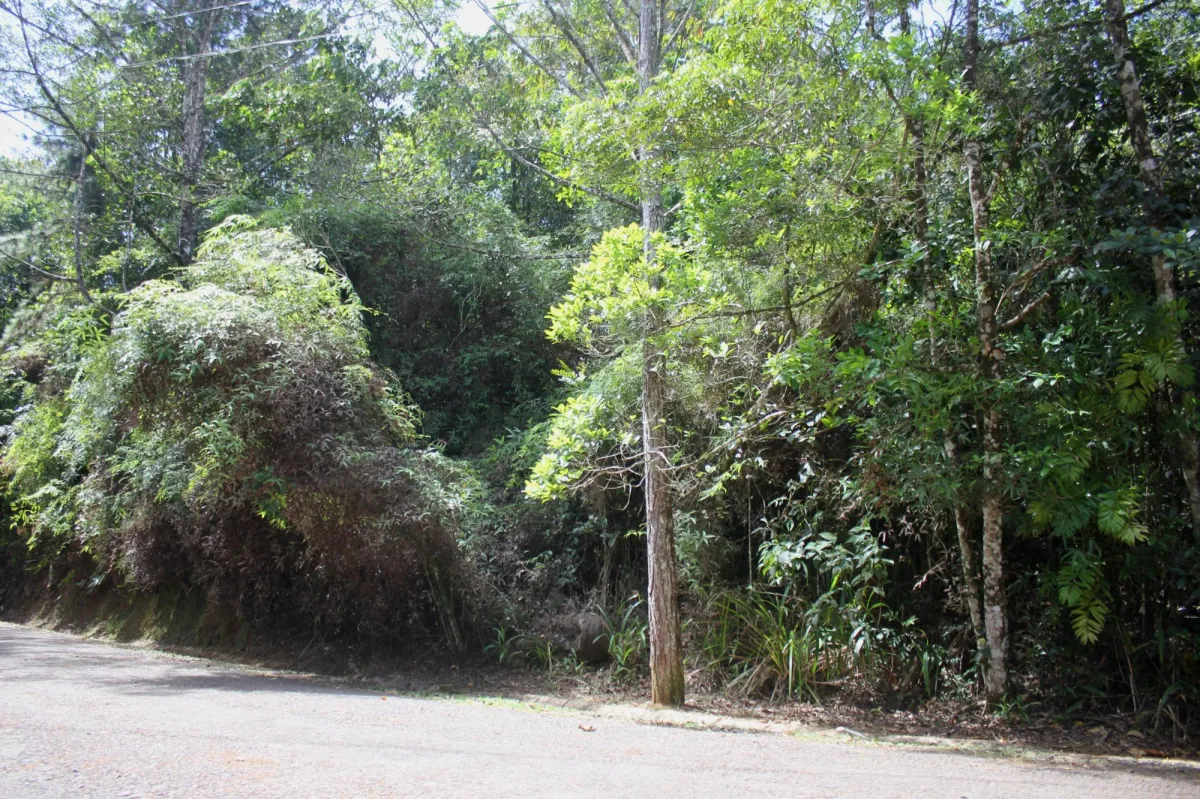 CERRO AZUL TERRENO EN VENTA
